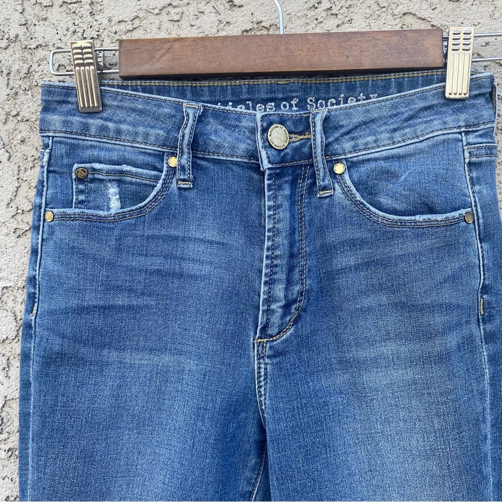 ARTICLES OF SOCIETY Distressed Skinny Jeans - Picture 12 of 12